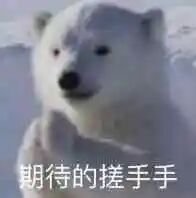e77929bc8ed8998cabb42ca7eaeccd37.jpg