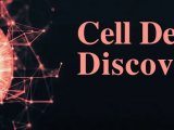 Cell Death Dis | 赵寅/李璐团队磷酸化修饰组揭示TBK1影响视网膜血管发育及功能新机制
