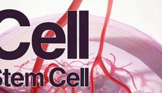 Cell Stem Cell | 4D蛋白组联合单细胞测序构建伤口再生分子图谱
