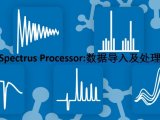 Spectrus Processor:数据导入及处理