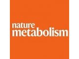 Nature Metabolism | 这个氨基酸不简单， T细胞的关键代谢节点天冬酰胺或成为癌症免疫治疗的新方向