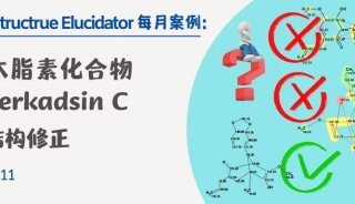 新木脂素化合物piperkadsin C的结构修正