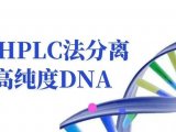 阴离子交换色谱法对PCR产物(DNA)的分离和高纯度制备