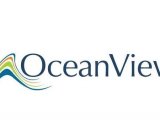【OceanView系列教程】帮你节省50%的时间！从搭建到演示的反射（颜色）测量，只要3分钟