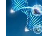 【邀】丹纳赫生命科学2020 基因治疗和细胞治疗技术交流会