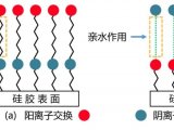 广州菲罗门Mixed-Mode色谱柱保留数学模型的初步研究