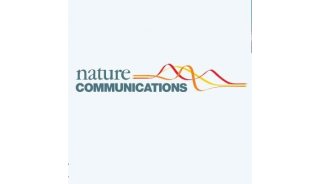 Nat Comm | p53蛋白乙酰化新的重要调控机制