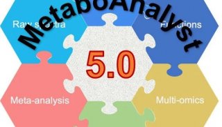 超实用工具 | 代谢组学MetaboAnalyst 5.0通路富集分析