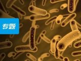 肠道菌群专题 | 微生物组+蛋白组揭示：肠道功能障碍引起的儿童发育不良与十二指肠菌群密切相关