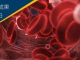 前沿 | 代谢流与 Seahorse 整合分析深入揭示造血干细胞能量代谢机制