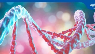 治疗性寡核苷酸药物的HPLC分析方法及生物样本分析解决方案—Clarity OTX用于SPE详解