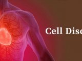 Cell Discov | 孙英贤教授团队揭示心肌肥厚和心肌纤维化机制及治疗靶点
