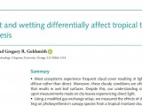 LI-6800应用案例 |【New Phytologist】漫射光和润湿（Wetting）对热带森林叶片光合作用的影响存在差异