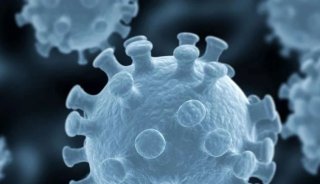 新冠病毒抗体和疫苗研发，警惕抗体依赖性增强效应