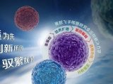 活动预告 | 赛默飞诚邀您参加第十三届中国干细胞年会！