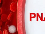 PNAS | 浙江大学余路阳/裘聪团队揭示SUMO化修饰调控血管生成新机制