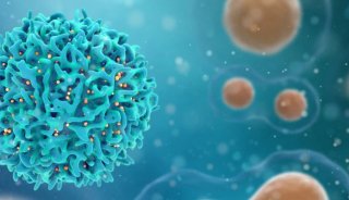 CAR-NK细胞疗法：突破传统治疗局限的机遇与挑战
