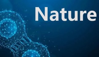 Nature | 单细胞蛋白质组学的“王者”新时代