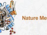 专家评述 | Nat Methods：郝海平/叶慧/王南溪新技术揭示乳酸化普遍存在人类蛋白组中