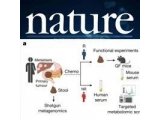 Nature | 菌群代谢物3-IAA有望大大提升胰腺癌化疗疗效！