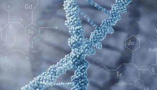 探索传统中药的分子鉴定秘密：DNA条形码分子检测技术（下）