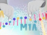 RNA修饰的内源性编辑(m6A,m1A,m5C)——通用型设计思路
