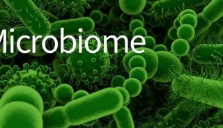 Microbiome：南京大学任洪强院士团队宏蛋白质组学揭露污泥中微生物的重金属抗性机制