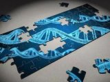 “飞”凡创新季-非病毒载体——细胞基因治疗技术新趋势