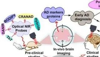 【综述】近红外荧光探针用于阿尔茨海默病中β-淀粉样蛋白和Tau蛋白聚合物的成像和诊断治疗