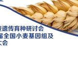 会议邀请 | 第八届小麦遗传育种研讨会暨第十一届全国小麦基因组及分子育种大会