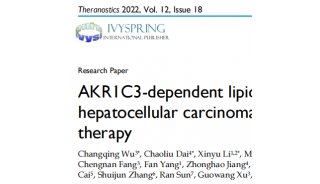 IF11！盛京医院刘扬和孙思予教授基于脂质组和蛋白质组技术揭示AKR1C3抑制剂能够恢复肝癌细胞对索拉非尼敏感性的调控机制