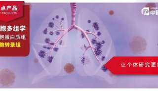 Cancer Cell丨单细胞转录组揭示浆细胞可作为非小细胞肺癌PD-L1免疫疗法的预后标志物
