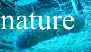 Nature：热蛋白质组学绘制出大肠杆菌功能性蛋白质组蓝图