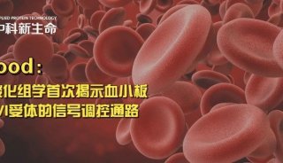 止血机制大揭秘！Blood: 磷酸化组学首次揭示血小板GPVI受体的信号调控通路