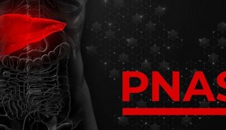 PNAS | 北京协和医学院张宏冰团队磷酸化修饰组揭示β-连环蛋白突变肝癌的靶向治疗新机制
