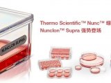 新品上市｜加强型黏附表面：Thermo Scientific™ Nunc™ Nunclon™ Supra