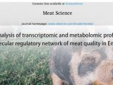 项目文章 | 转录组+代谢组助力黑猪肉质研究