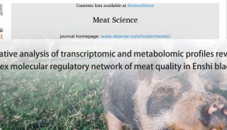 项目文章 | 转录组+代谢组助力黑猪肉质研究