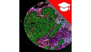 Cell DIVE | 解锁单细胞空间蛋白组学分析技能
