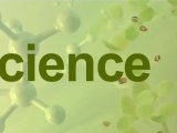 iScience | 福建农林大学许卫锋团队揭示N-糖基化调控拟南芥碱胁迫应答新机制
