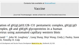 人类巨细胞病毒疫苗全球临床实验新进展|全自动毛细管Western技术再次助力Merck公司疫苗研究