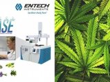 ENTECH无溶剂萃取黑科技——VASE技术萃取植物及产品中萜烯及大麻素