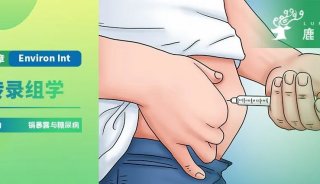 Environ Int | 浙江大学公共卫生学院周舟课题组在环境科学顶刊首次发文揭示镉暴露与糖尿病的关联