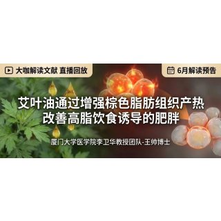 大咖解读文献 直播回放 | 厦门大学医学院李卫华教授团队-王帅博士：艾叶油通过增强棕色脂肪组织产热改善高脂饮食诱导的肥胖