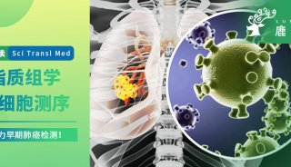 Sci Transl Med（IF: 19.319） | 单细胞测序和脂质组学技术助力早期肺癌检测！