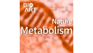 Nat Metab | 徐剑团队报道代谢区室（Metabolon）可调节支链氨基酸的氧化和稳态