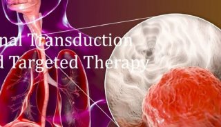 STTT | 刘芝华/崔永萍合作团队磷酸化修饰组学揭示食管癌发生新机制及治疗新靶点