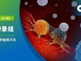 项目文章 | 单细胞多组学助力解析砷烯纳米片在肿瘤微环境中的免疫调节作用