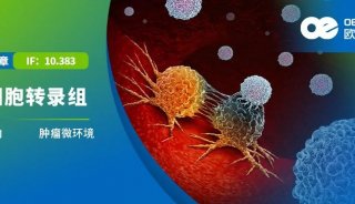 项目文章 | 单细胞多组学助力解析砷烯纳米片在肿瘤微环境中的免疫调节作用