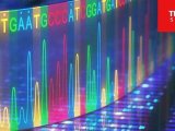 新品上市 | MagMAX Pure Bind助力 NGS 文库制备中的 DNA 纯化和片段筛选